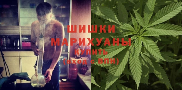амф Алексин